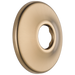 Delta Shower Flange