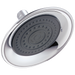 Delta RP61181 Single-Setting Raincan Shower Head