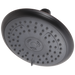 Delta RP62171 Porter Shower Head