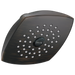Delta RP64859 Single-Setting Raincan Shower Head