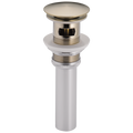 Brushed Nickel