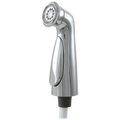 Chrome