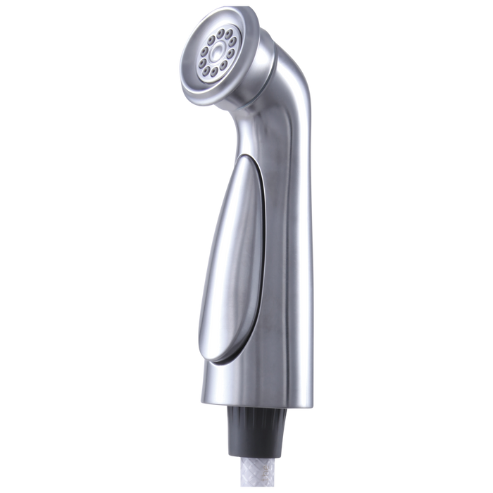 Delta RP72751 Cassidy Spray and Hose Assembly