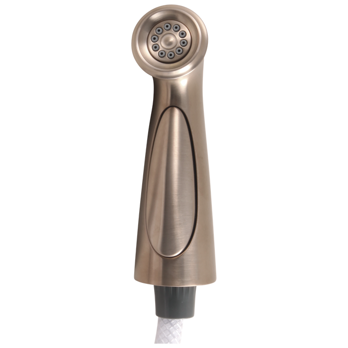 Delta RP72751 Cassidy Spray and Hose Assembly