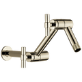 Polished Nickel