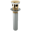 Polished Gold