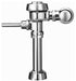 Sloan Valve Company 3010100 3.5 GPF Exposed Manual Water Closet Flushometer | ROYAL 110-3.5