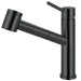 Franke Steel Single Handle Pull-Out Kitchen Faucet - Industrial Black