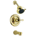 Polished Brass