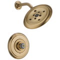 Champagne Bronze
