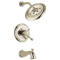 Polished Nickel