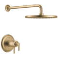 Lumicoat Champagne Bronze
