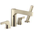 Polished Nickel (2)
