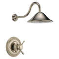 Polished Nickel