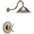 Polished Nickel