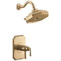 Polished Gold