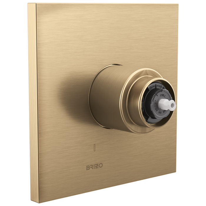 Pressure Balance Valve Only Trim - Less Handle