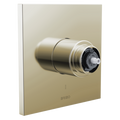 Polished Nickel