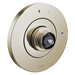 Brizo Litze: Pressure Balance Valve Only Trim - Less Handle