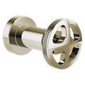 Polished Nickel