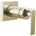 Polished Nickel