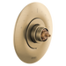 Brizo Odin: Sensori Thermostatic Valve Trim - Less Handle