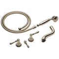 Polished Nickel