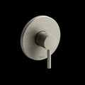 Brushed Nickel (BN)