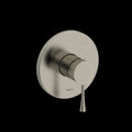 Brushed Nickel (BN)