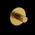 Brushed Gold (BG)