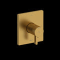 Brushed Gold (BG)