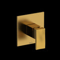 Brushed Gold (BG)