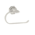 Satin Nickel (STN)