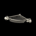 Polished Nickel (PN)