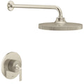 Brushed Nickel/Polished Nickel