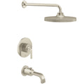 Brushed Nickel/Polished Nickel