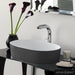 Victoria+Albert IOS-80 ios 80 Oval Vessel Lavatory Sink