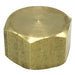 Wal-rich Corporation 4021990 1/4"OD Brass Compression Cap