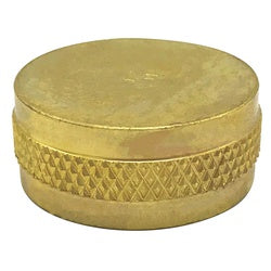 Wal-rich Corporation 4607002 3/4" Brass Hose Cap