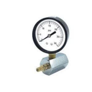 Wal-rich Corporation 1838103 Gas Test Assembly, 2 in Dial, 3/4 in