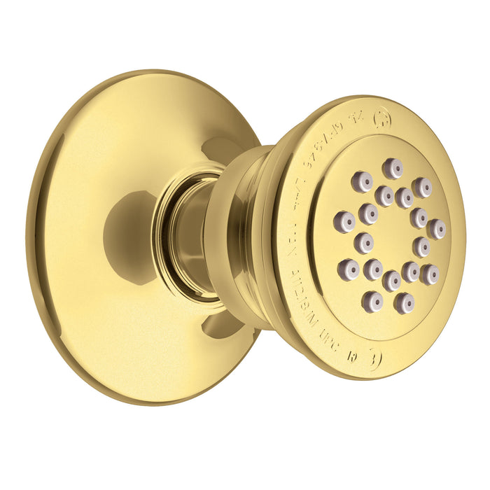 Moen A501 Body Spray