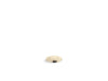 KOHLER K-35724 Garbage disposal air switch kit