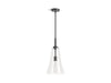 KOHLER K-26850-PE01 Simplice 10" pendant