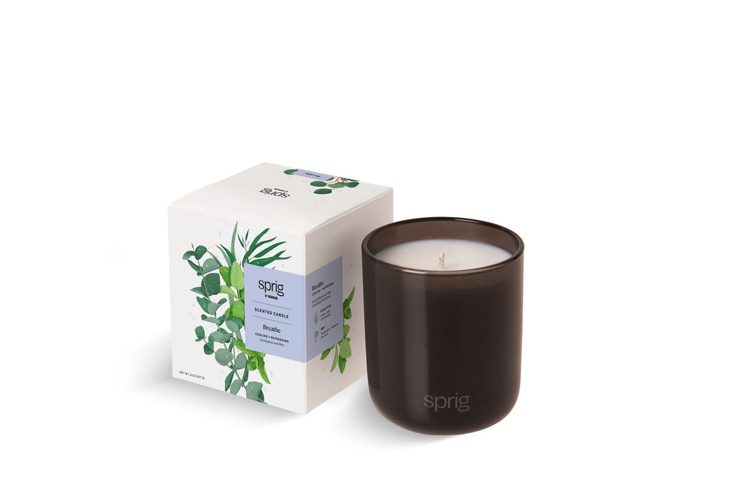 KOHLER Sleep Sleep Scented Candle (Lavender + Vanilla)