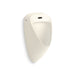 KOHLER K-28082-1DC Tend Washout half-stall 0.125 gpf touchless urinal, rear spud