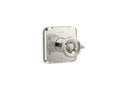 Polished Nickel