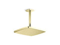 Unlacquered Brass