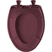 Bemis 1200SLOWT Classic Colors® Elongated Plastic Toilet Seat Featuring Stay·Tite® Seat Fastening System™, Whisper·Close®, and Easy·Clean® - Loganberry
