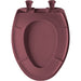 Bemis 1200SLOWT Classic Colors® Elongated Plastic Toilet Seat Featuring Stay·Tite® Seat Fastening System™, Whisper·Close®, and Easy·Clean® - Raspberry