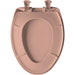 Bemis 1200SLOWT Classic Colors® Elongated Plastic Toilet Seat Featuring Stay·Tite® Seat Fastening System™, Whisper·Close®, and Easy·Clean® - Wild Rose